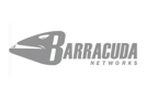 clients barracuda1 1 - Cohesive Connections - Home